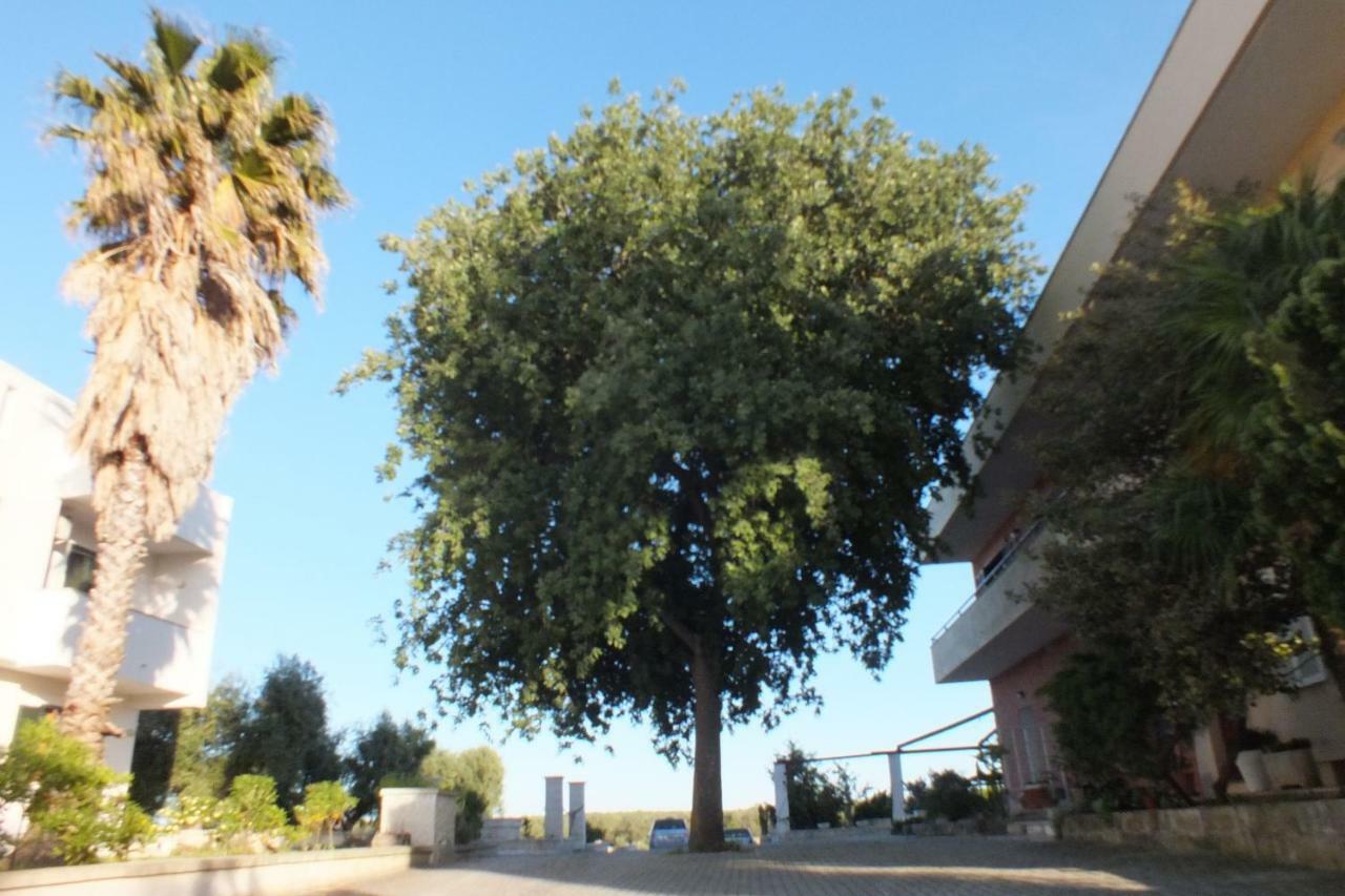 La Vallonea Casamassella Екстер'єр фото